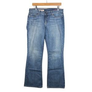 x2 Curvy Normal Rise Flare Leg Jeans size 8 Blue